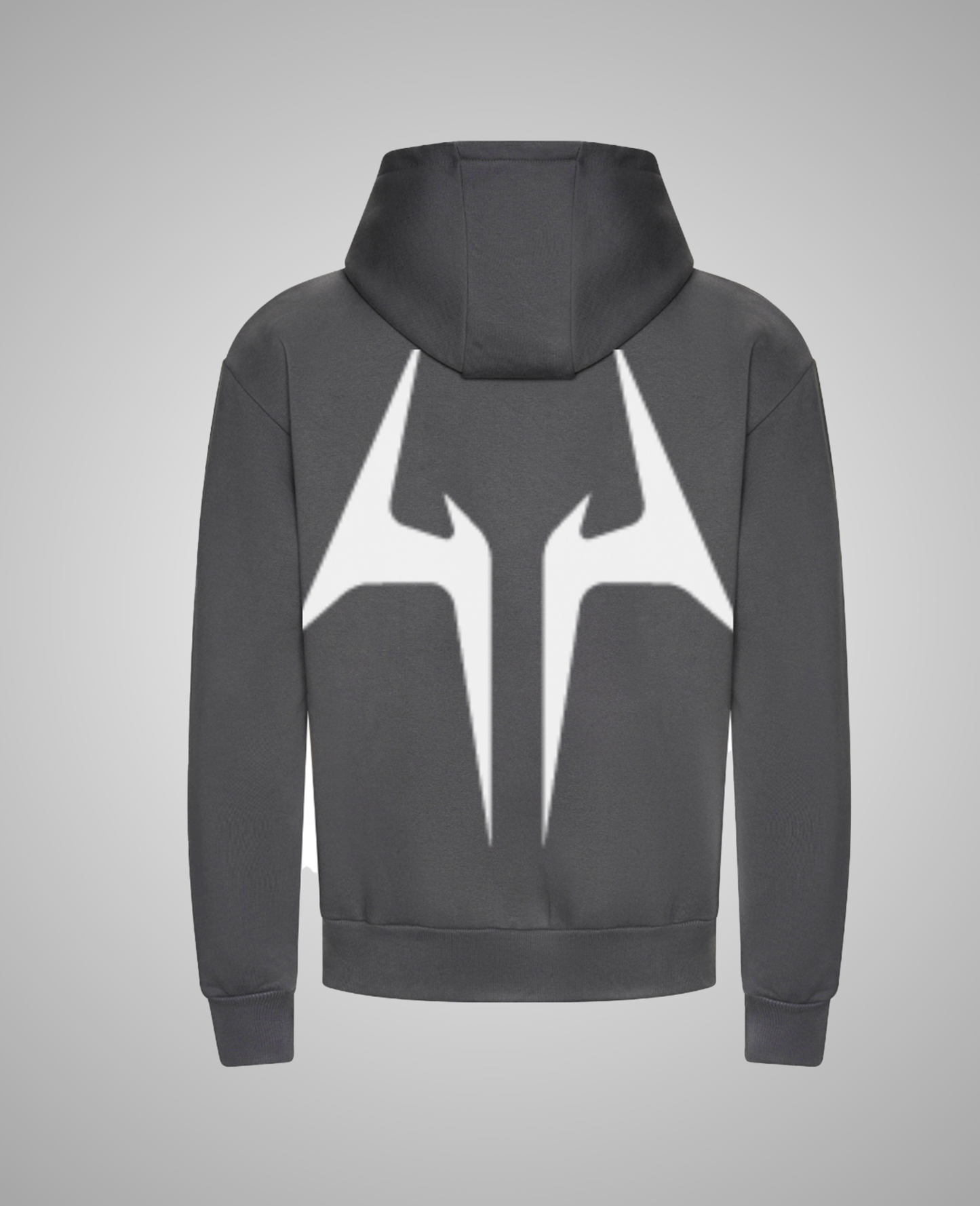 Origin Heavy Hoodie